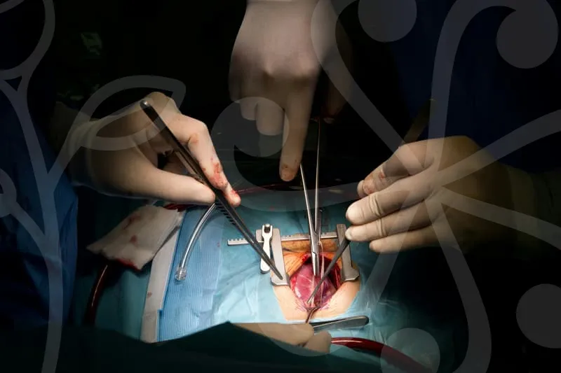 성형외과피부과