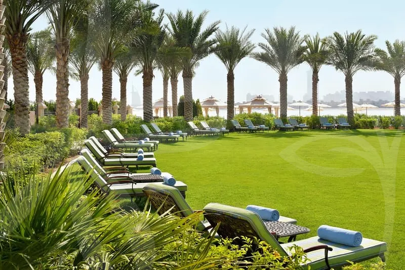 제천리솜포레스트