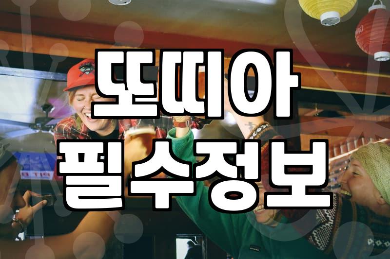 맥주 안주로 실패 없는 치킨퀘사디아 맛집 고르는 노하우와 가성비 따져보기