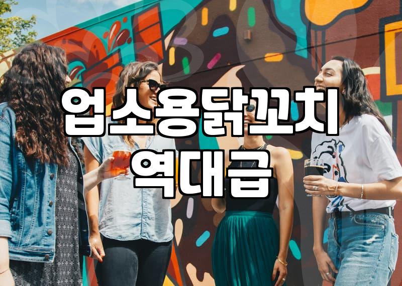 휴게소나 PC방 닭꼬치, 집에서 직접 해 먹으면 정말 그 맛이 날까?
