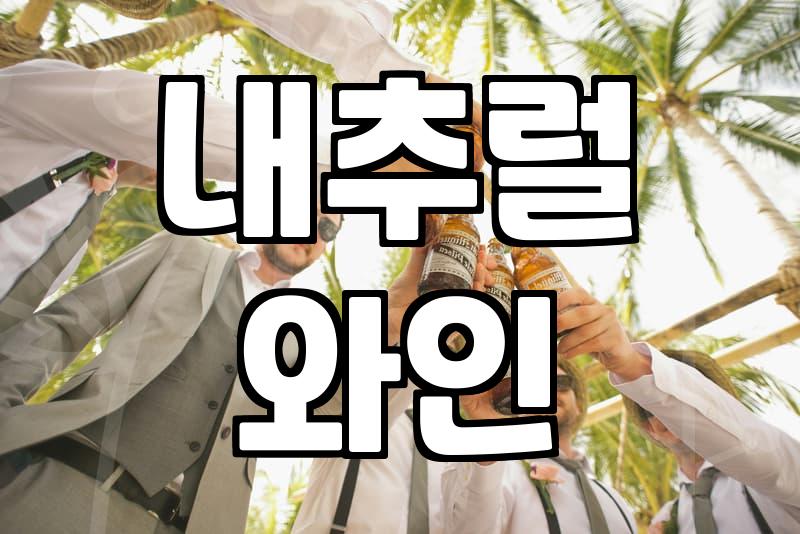 퇴근 후 실패 없이 나만의 아지트를 찾는 을지로와인바 탐색 기준