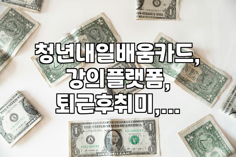 리더십과 조직문화, 청년지원사업 활용법