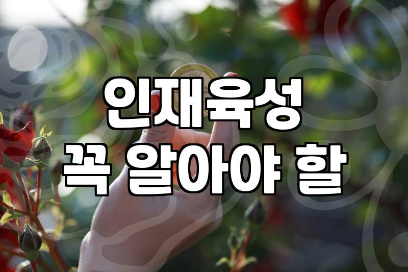 자기개발 성과를 결정짓는 구체적인 학습 전략과 시간 투자법