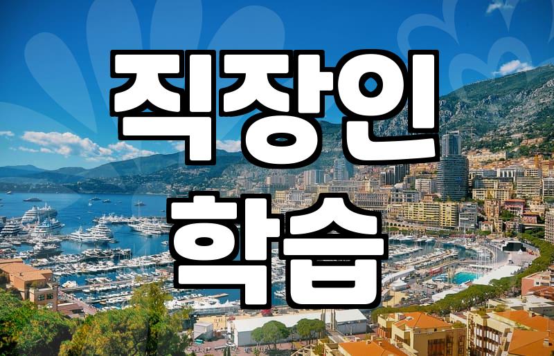 자기개발 비용과 직장인 학습 예산 현실적인 기준