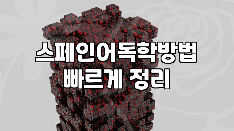 스페인어 기초부터 델레 자격증까지 혼자 공부하는 현실적인 방법