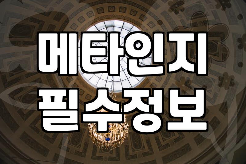 매일 쓰는 일기가 나를 바꾸지 못하는 현실적인 이유와 해결법