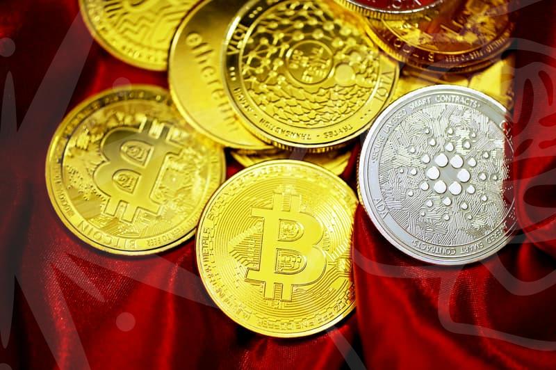 아이를 위한 유아전집 구매 전 반드시 따져봐야 할 가성비와 교육적 실효성