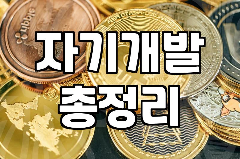 퇴근 후에 직무역량 키우겠다고 결제한 인강 때문에 스트레스만 더 쌓였던 삼 주간의 기록