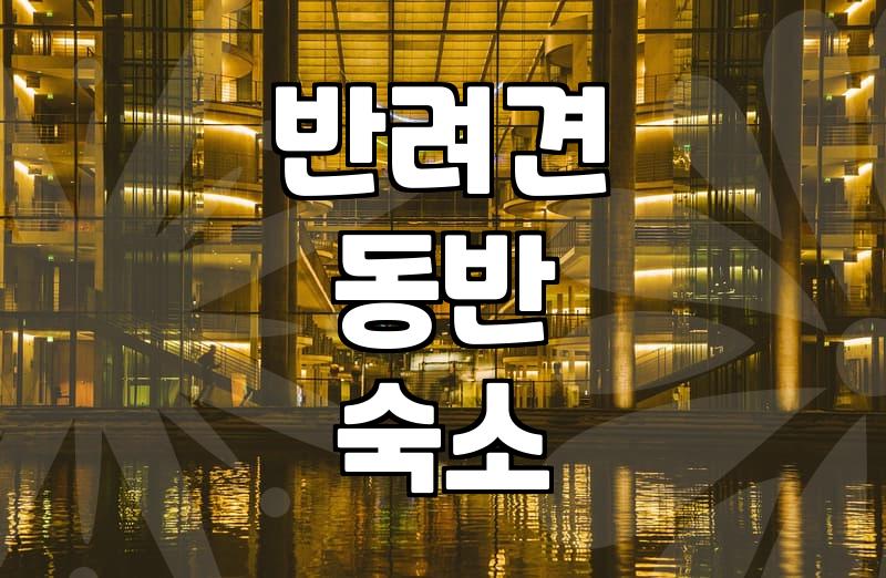 반려견과 함께 편안한 휴식, 제대로 된 강아지모텔 고르는 법