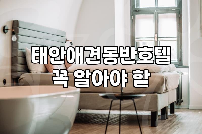 현실적으로 바라본 태안반도 숙소 선택의 명과 암: 반려견과의 여행은 정말 힐링일까?