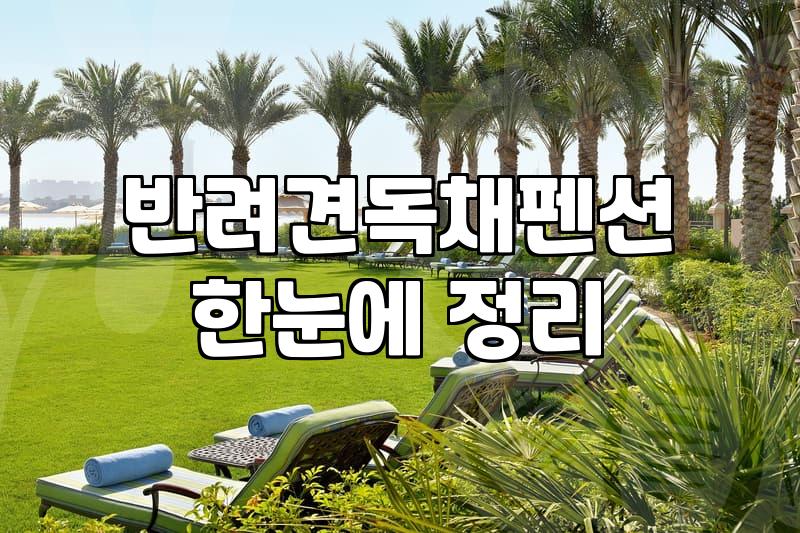 광주 근교에서 반려견과 숙소 고르기, 낭만보다는 현실적인 고민들