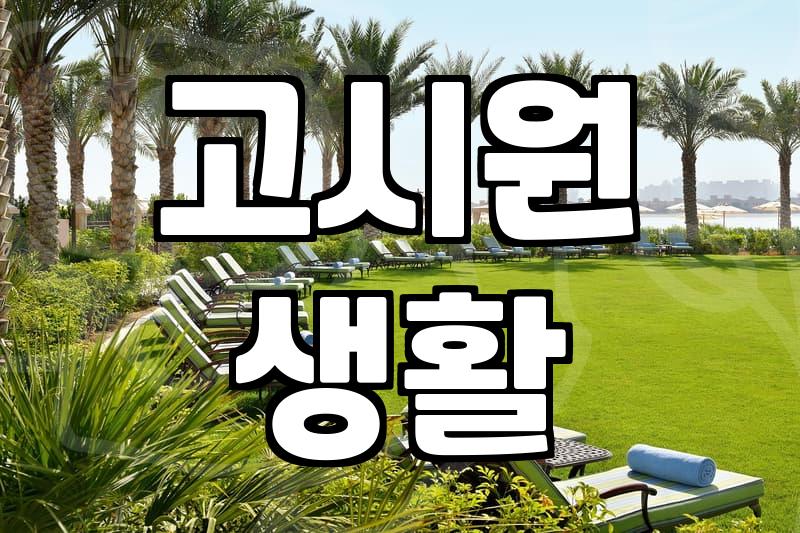 여름 한 철 머물기로 했던 고시텔이 묘하게 불편했다