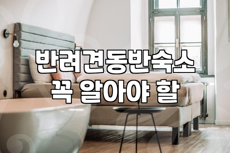 반려견과 함께하는 숙소, 현실과 기대 사이의 간극에 대하여