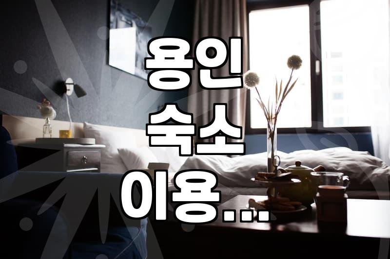 용인 양지 지역 숙소 이용과 이동 시 고려할 점들
