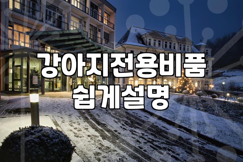실패 없는 반려견동반펜션 선택을 위해 반드시 확인해야 할 체크리스트