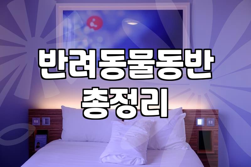 애견모텔 선택 시 반드시 확인해야 할 현실적인 주의사항과 체크리스트