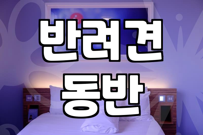 공주애견동반숙소 선택할 때 반드시 확인해야 할 실전 체크리스트