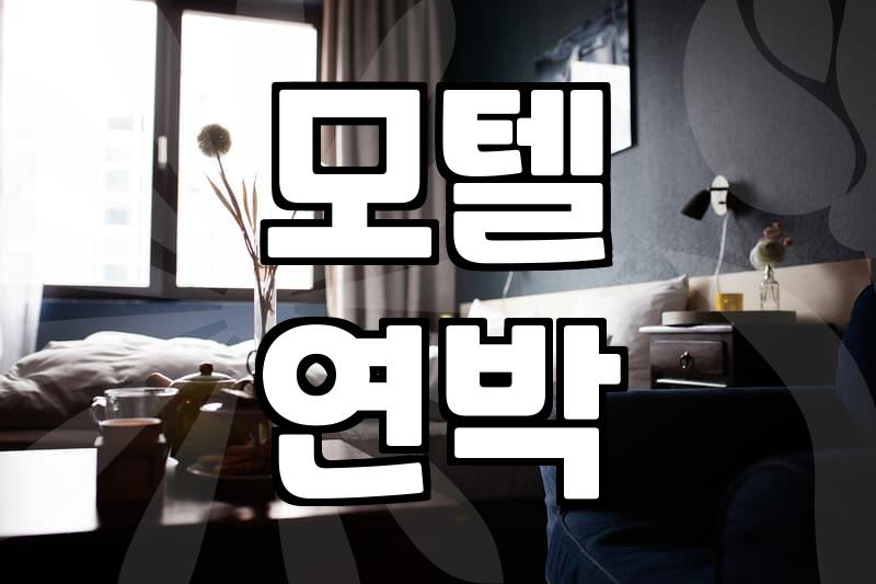 근처 모텔을 고를 때 절대 듣지 말아야 할 조언과 현실적인 타협점