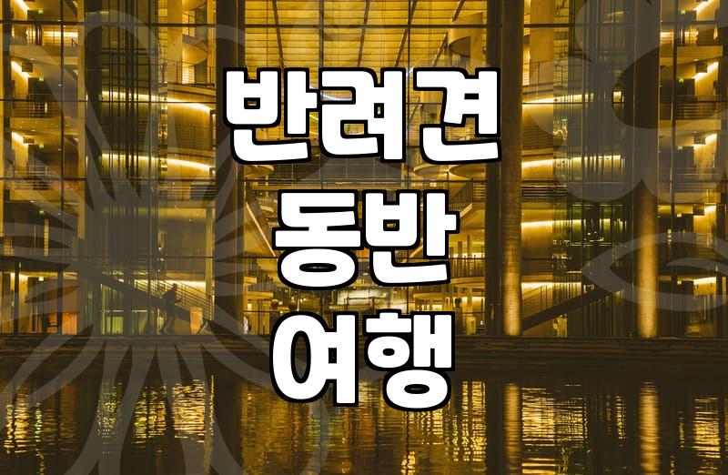 애견동반파티룸 예약 전 확인해야 할 필수 이용 수칙