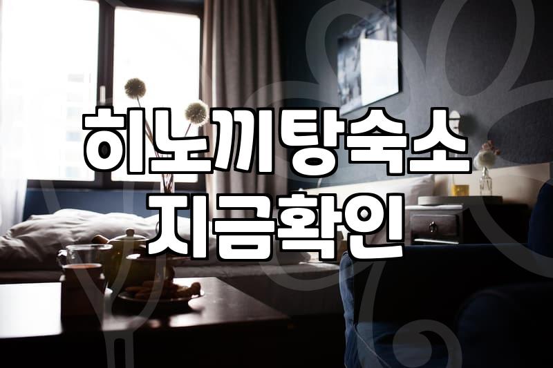 노천탕 숙소와 풀빌라, 직접 경험해보니 고민되는 지점들