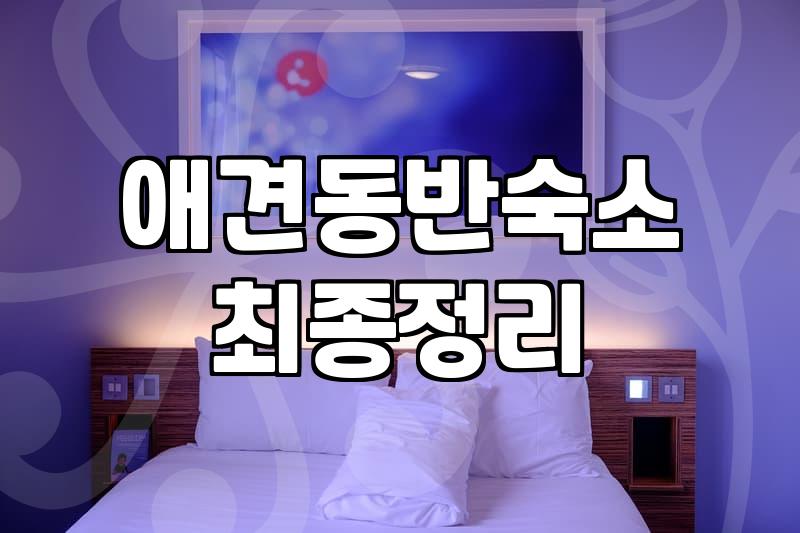 애견모텔 선택 시 반드시 확인해야 할 시설 기준과 이용 요금
