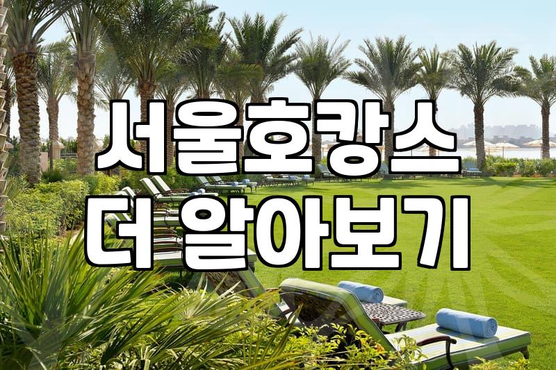강남 한복판에서 멍하니 있다 온 주말