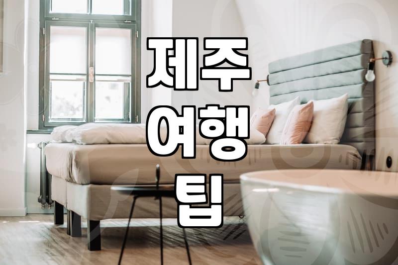 제주 여행, 뻔한 코스보다 현실적인 고민들