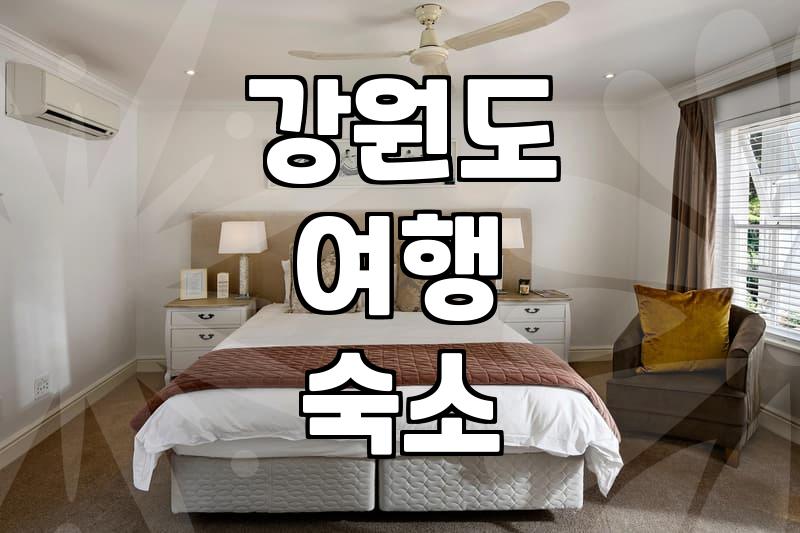 동해시모텔 요금 체계와 성수기 가격 변동의 실체