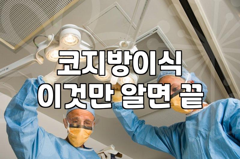 기능과 미용 사이의 고민, 코병원 선택 시 마주하는 현실적인 타협점들