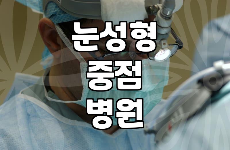 윙크성형외과 방문 전 확인해야 할 눈성형 비용과 진료 방식