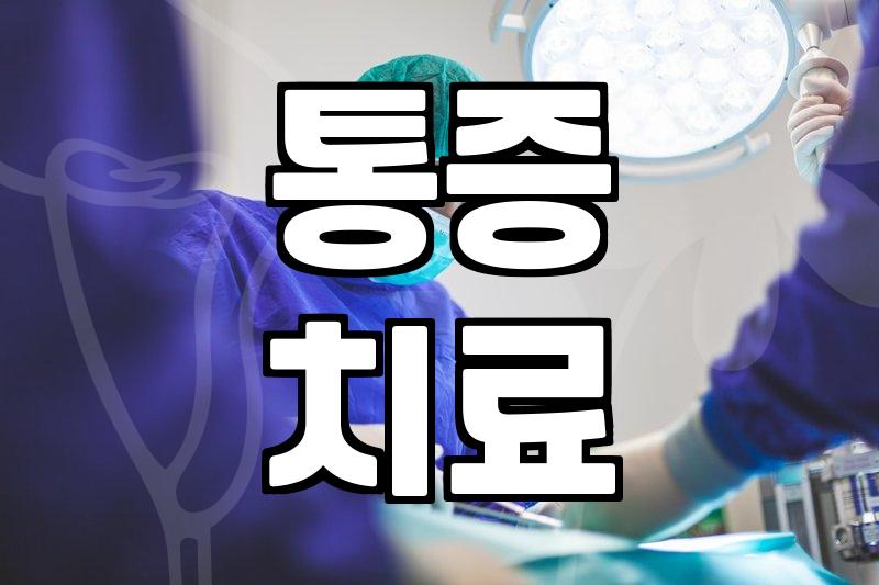 시술정보 확인 방법과 비용 결정 기준