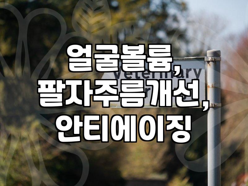 얼굴 지방이식, 막연히 ‘채우기’만 했다간 낭패 볼 수 있어요