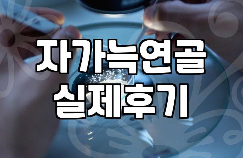 서울코수술 실패 없이 결정하는 현실적인 기준