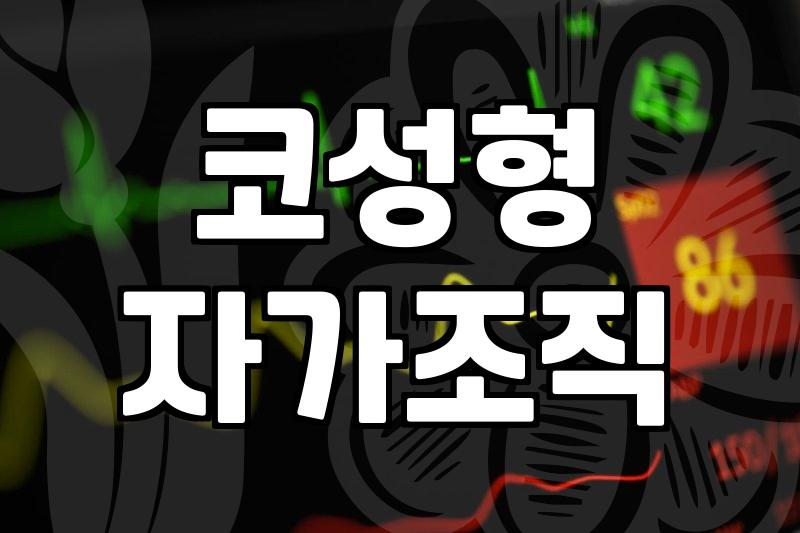 성형 수술 비용과 결정할 때 따져야 할 기준
