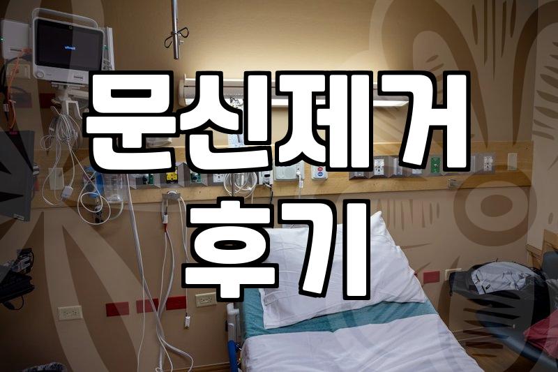 문신 제거 두 번 하고 나니 진 빠져서 그냥 방치 중이다