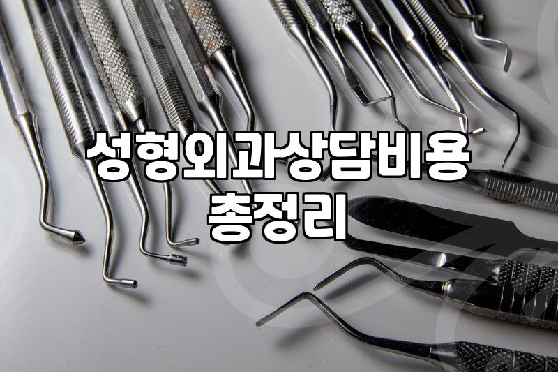 강남 지역 성형외과 상담부터 항노화 관리까지 알아볼 점들