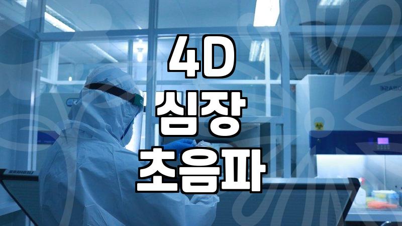 4D 심장 초음파, 혹시 나에게도 필요할까? 실제 경험자가 말하는 현실적인 장단점