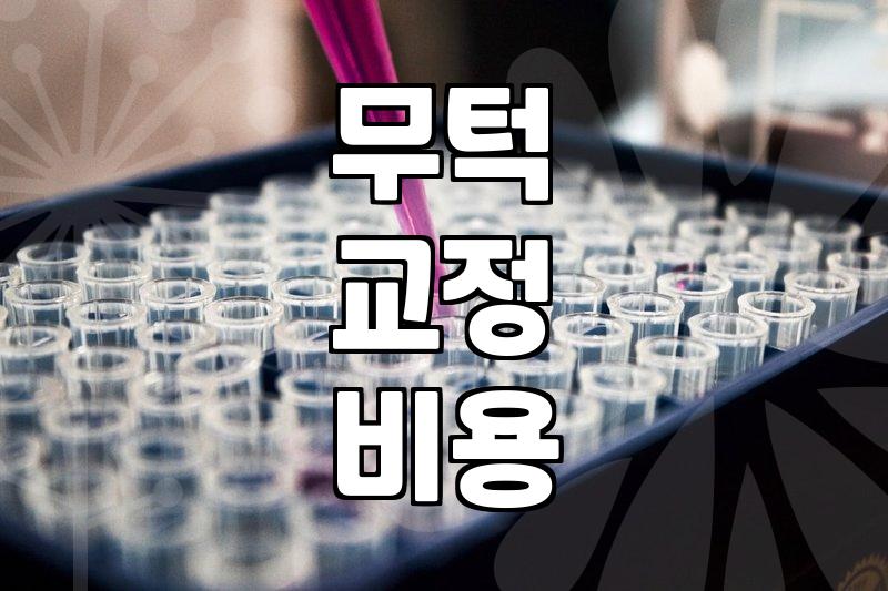 무턱 교정과 성형외과 선납금 결제, 직접 상담하며 깨달은 현실적인 타협점들
