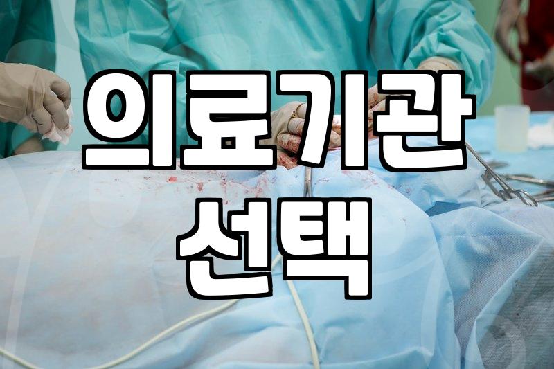 시술정보 확인 시 의료기관 선택 기준과 주의사항