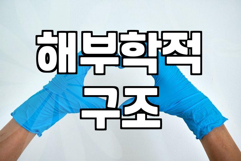 실패 없는 성형정보 확인을 위해 반드시 따져봐야 할 핵심 기준