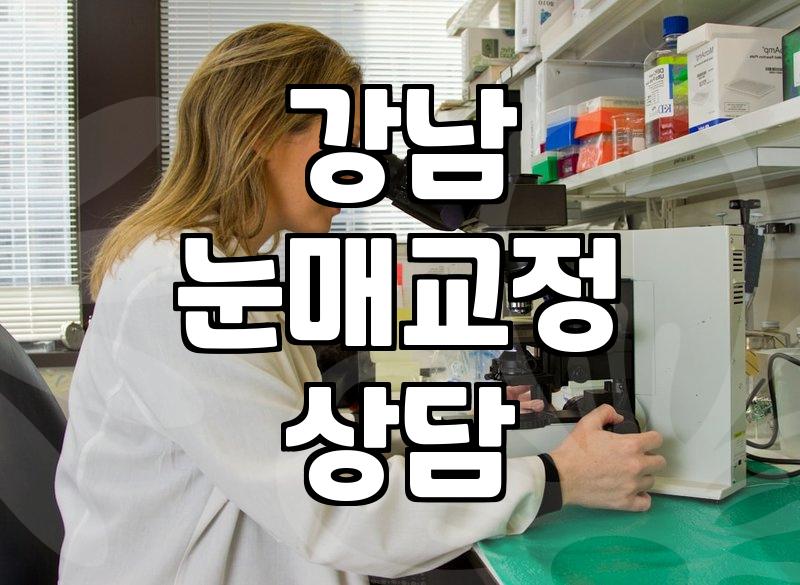 강남역 근처에서 상담받고 그냥 돌아온 날