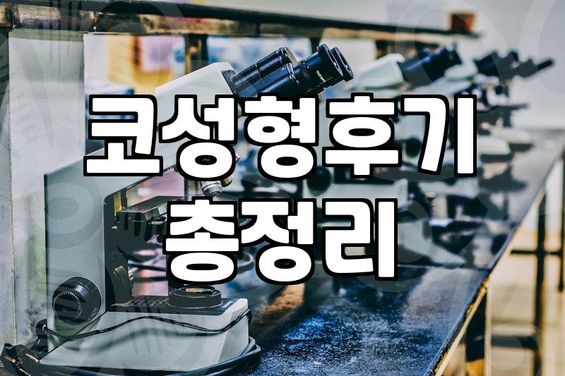 자가늑연골로 코 수술하고 흉터 고민만 늘어난 지난달