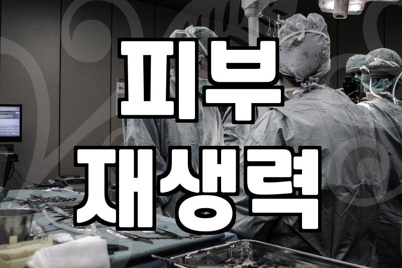 시술정보 확인 시 의료기관 선택 기준과 주의사항