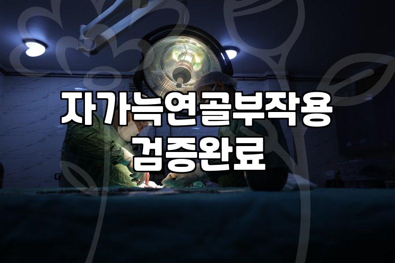 자가늑 코수술을 고민하는 당신에게: 이상과 현실 사이의 괴리