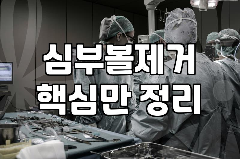 얼굴라인정리를 위한 선택지별 특징과 현실적인 관리 비용 비교