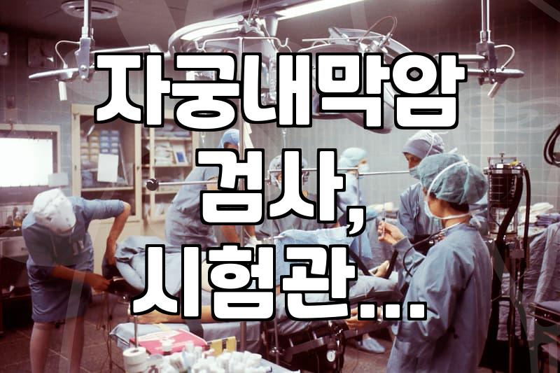 자궁내막 검사부터 튼살 시술까지 알아두면 좋은 의료 정보