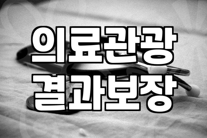 성형정보 확인하고 실패 확률 낮추는 현실적인 기준