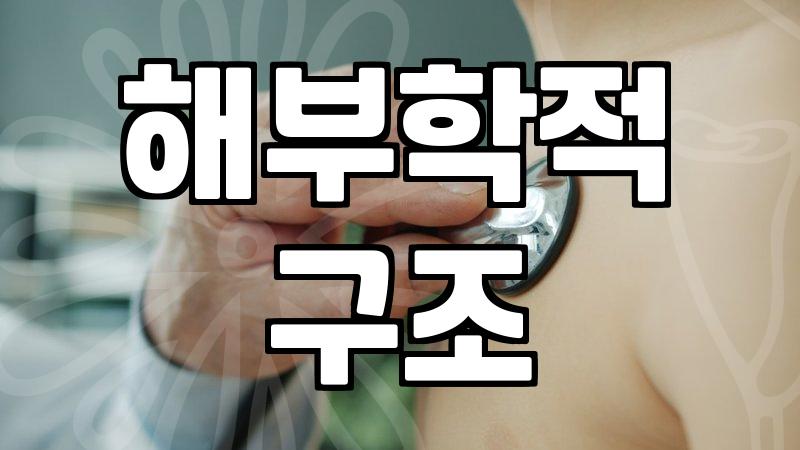 실패 없는 성형정보 확인을 위해 반드시 체크할 기준