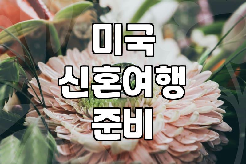 미국신혼여행 비용과 준비 시 고려해야 할 현실적인 예산