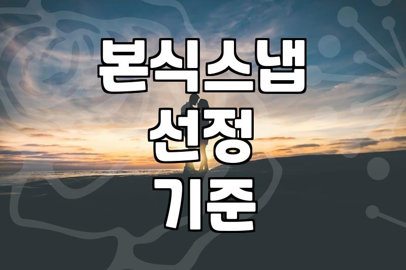 본식 스냅 업체 고를 때 따져봐야 할 현실적인 기준들